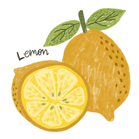 lemon drawing 5