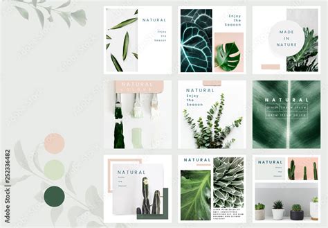 Social Media Post Layouts With Plant Images Stock Template Adobe Stock