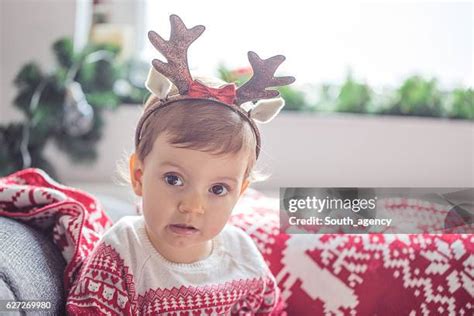 1,388 Female Reindeer Antlers Stock Photos, High-Res Pictures, and Images - Getty Images