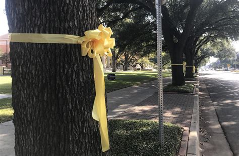 Tcu Student Veterans Alliance Hangs Yellow Ribbons To Celebrate