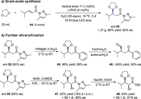 Gram‐scale Synthesis And Further Synthetic Diversification Download Scientific Diagram