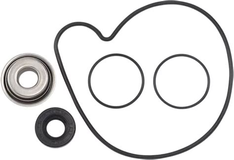 HOT RODS WATER Pump Rebuild Kit For Polaris RZR XP EPS UTV PicClick CA