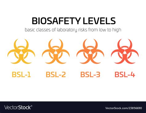 Biosafety Level Signs From Bsl To Bsl Simple Vector Image