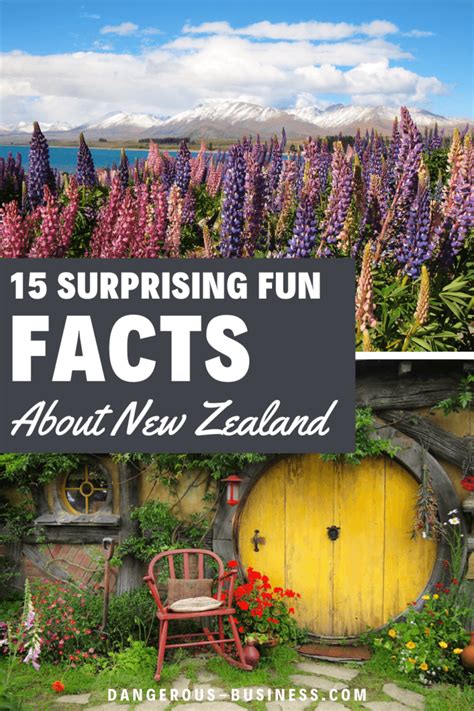 New Zealand Fun Facts 15 Things You Might Not Know About NZ