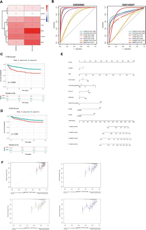 Frontiers Machine Learning Based Identification Of Cybb And Fcar As