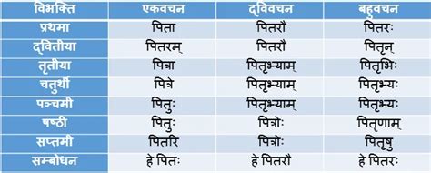 Pitr Shabd Roop In Sanskrit