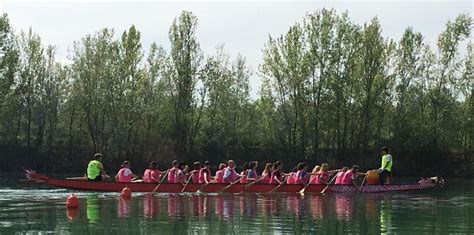 Sabato è Lake Festival ai laghi Curiel di Campogalliano Voce notizie