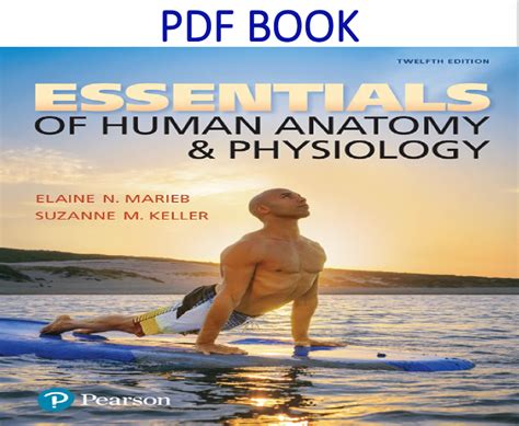 Human Anatomy Physiology Th Edition Used