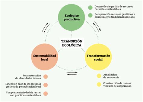 Proceso de transición agroecológica según Román Bermejo 2016