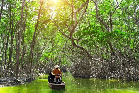 Understanding how mangrove loss threatens biodiversity - UNEP-WCMC