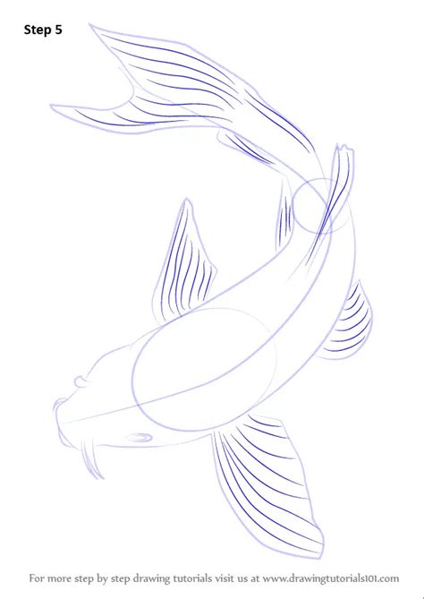 Learn How to Draw a Koi Fish (Fishes) Step by Step : Drawing Tutorials