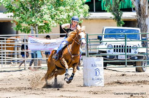 Western Horse Riding Lessons