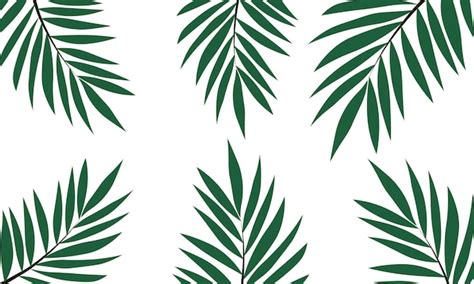 Feuilles De Palmier Tropical Aquarelle Motif Sans Couture Illustration