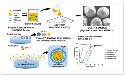 Gastroretentive Sustained Release Tablets Combined With A Solid Self