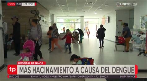 Aumentan Los Casos De Dengue Y Los Hospitales Se Saturan En Santa Cruz