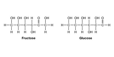 Carbohydrate Structure Diagram Examples Of Carbohydrates