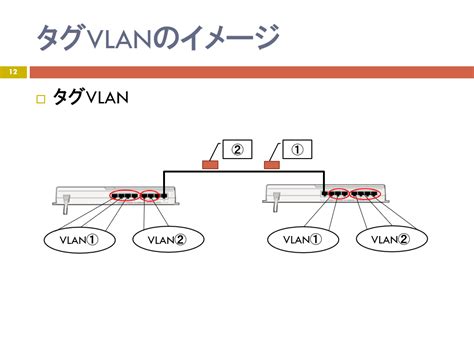 Vlan 再 入門 研修コースに参加してみた Seプラス 研修 Topics