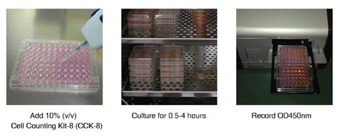 Cell Counting Kit 8 Cck 8 Selleck Bioreagents