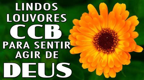 Hinos CCB 2023 Lindos Louvores CCB Para Sentir Agir De Deus A