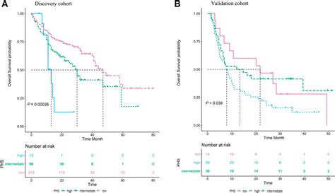 Frontiers Eight Gene Mutation Based Polygenic Hazard Score As A