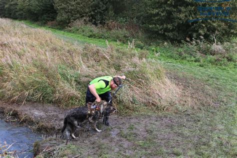 how to catch a dog in survival mode