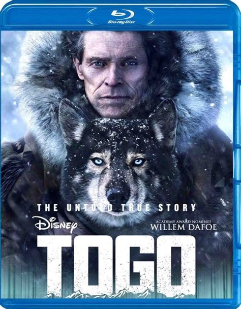 Togo 2019 Movie High Quality Drama Film Blu Ray Dvd Bluray