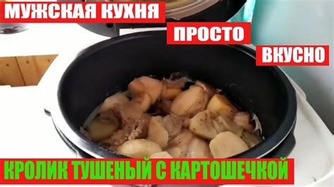 Кролик тушёный с картошкой в мультиварке скороварка Moulinex CE503132 ...