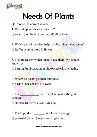 Download Printable Needs Of Plants Worksheets For Grade 3