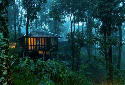 A Small Cabin In The Middle Of A Forest With Lights Shining On It S Windows