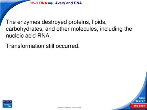 Ppt Biology Powerpoint Presentation Free Download Id 393033