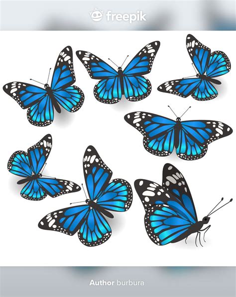 Conjunto De Hermosas Mariposas Azules Premium Vector Freepik Vector