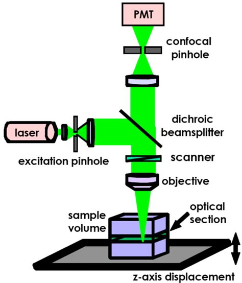 2 Schematic Of The Leica Sp2 Tcs Confocal Laser Scanning Microscope 52 Download Scientific