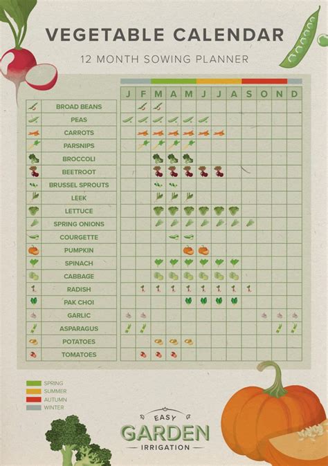 12 Month Sowing Calendar To Ensure You Sow The Right Vegetables At The