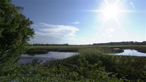 John Heinz National Wildlife Refuge Is Americas First Urban Refuge