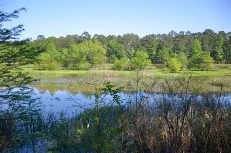 Waterfowl Way – Millwood State Park - Right Kind Of Lost | State parks, Park, Waterfowl