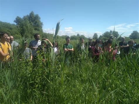 Retour Sur L Atelier Du Patrimoine Naturel Des Hauts De France Esp Ces