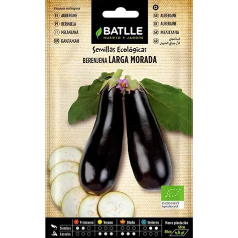 Semillas De Berenjena Larga Morada Masala Natural