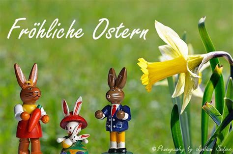 Ostergrußkarte Für Fröhliche Ostern Bilder Und Grußkarten