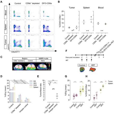 Specificity Of Zr Dfo Cd A In Depleted Antigen Negative And