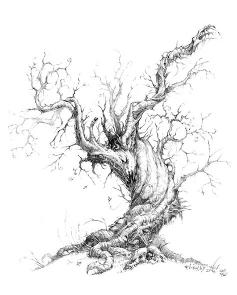 Tree Branch Drawing at GetDrawings.com | Free for personal use Tree ...