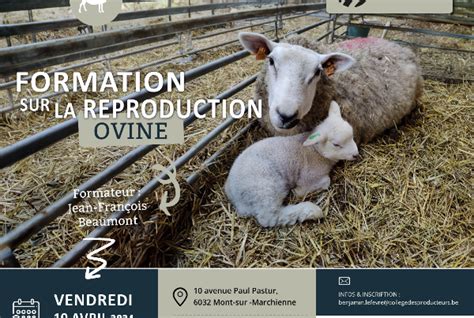 La Reproduction Caprine Le Coll Ge Des Producteurs