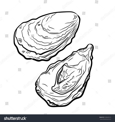 Fresh Oysters Vector Set Black White Stock Vector Royalty Free 536045515 Shutterstock