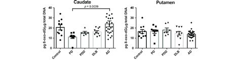 8 Oxo DG Levels In The Caudate And Putamen From Patients With Diseases