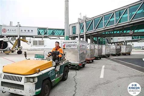 广州白云机场口岸进口航空货物首次突破60万票 中国民用航空网