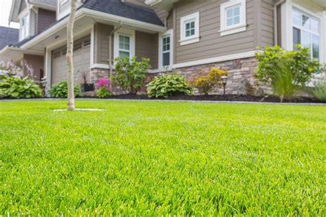 Fertiliser Le Gazon Lautomne Pour Obtenir Un Tapis Vert Et Luxuriant