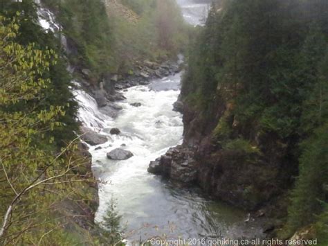 Gold River, Vancouver Island, British Columbia | Gohiking