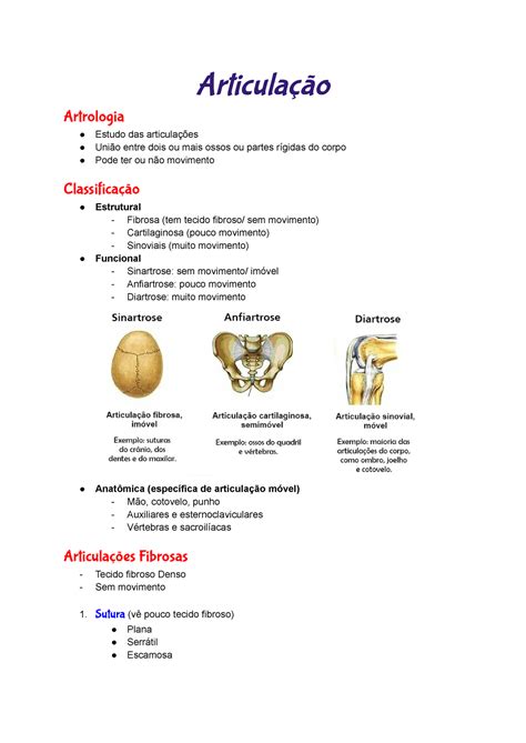 Articula O Resumo Sobre As Articula Es Do Corpo Classifica O E