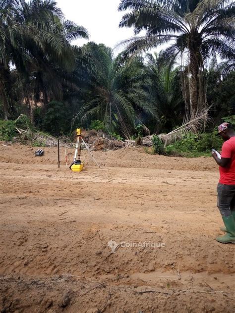 Terrains Terrains Ngombe Lendi Au Cameroun CoinAfrique Cameroun