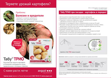 Табу® ТРИО – купить препарат Табу® ТРИО оптом по цене производителя ...