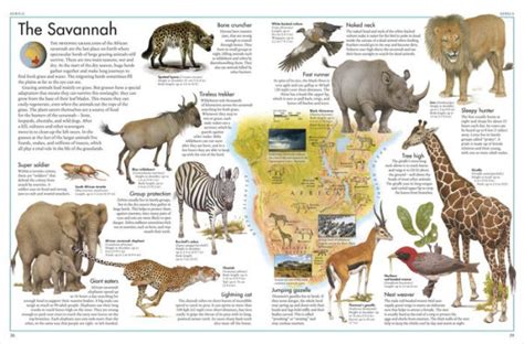 Barnes and Noble The Animal Atlas: A Pictorial Guide to World's ...